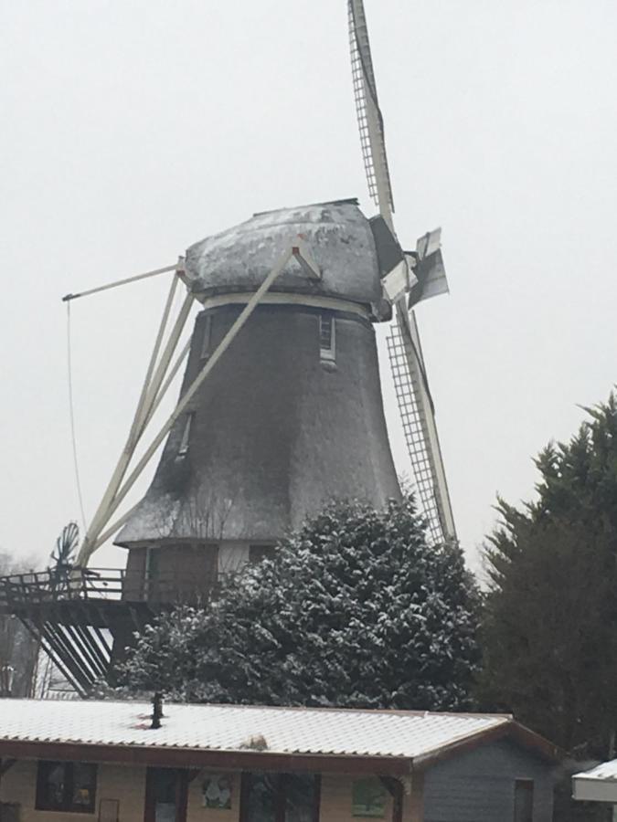 Vila Gardenhouse Mariposa Badhoevedorp Exteriér fotografie