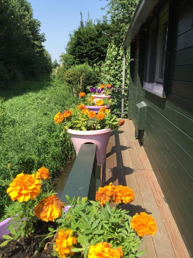 Vila Gardenhouse Mariposa Badhoevedorp Exteriér fotografie
